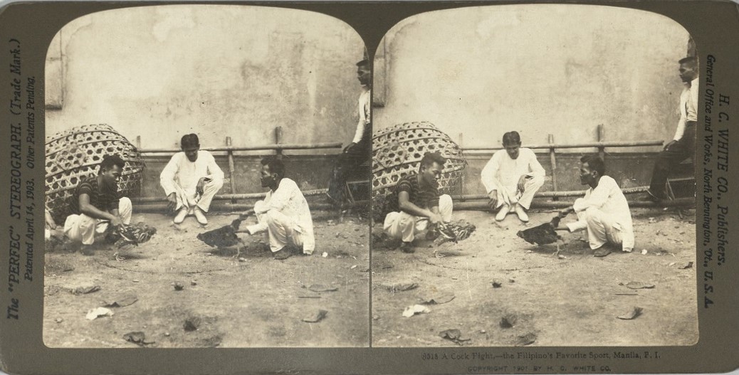 A Cock Fight, – the Filipino’s Favorite Sport, Manila, P. I.